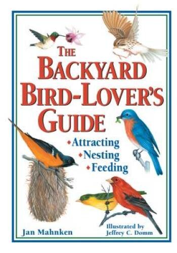 The backyard bird - backyard, bird-lover's